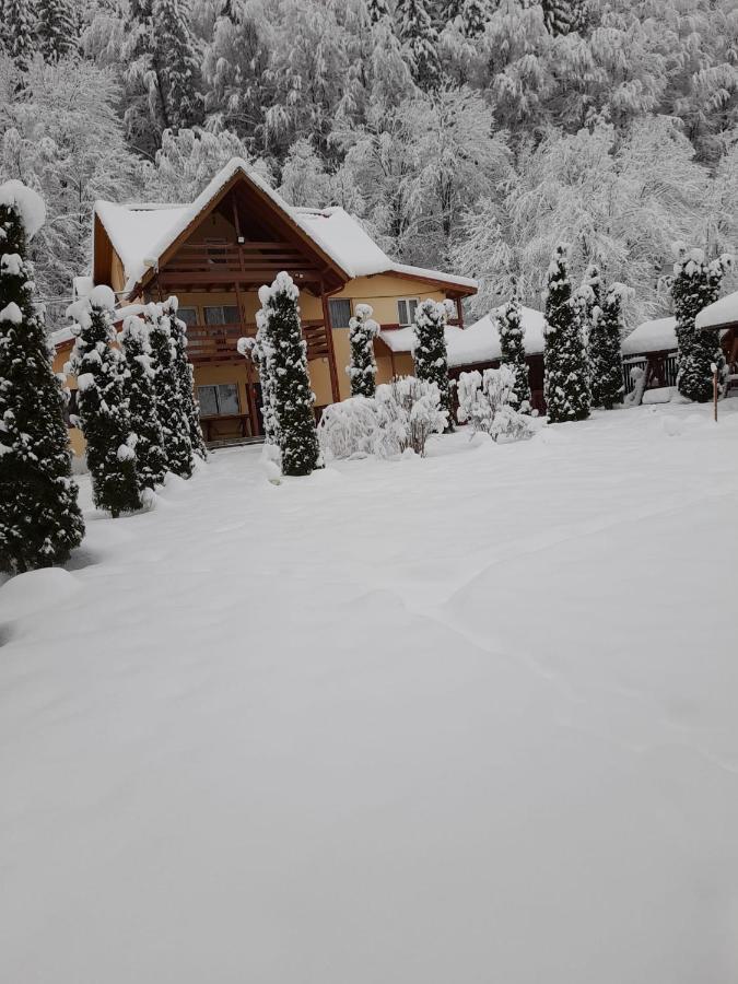 Pensiunea La Padure Cheia, Prahova Măneciu Exterior photo