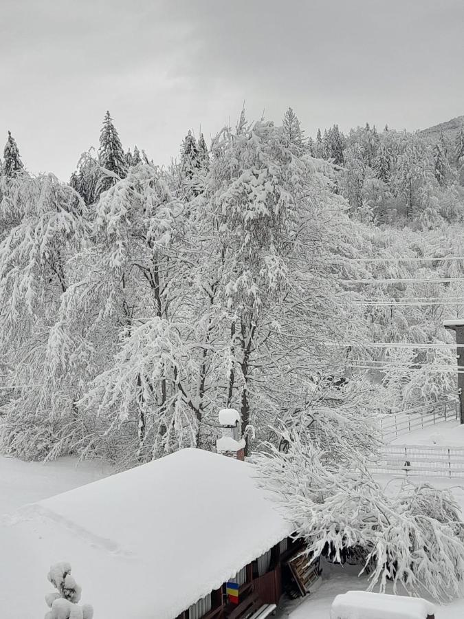 Pensiunea La Padure Cheia, Prahova Măneciu Exterior photo