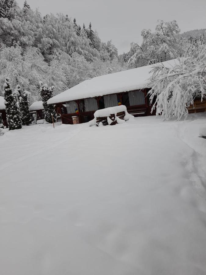 Pensiunea La Padure Cheia, Prahova Măneciu Exterior photo