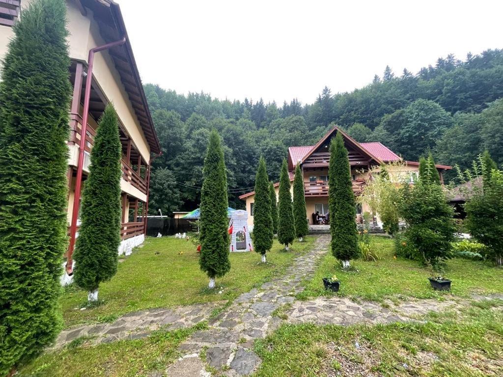 Pensiunea La Padure Cheia, Prahova Măneciu Exterior photo
