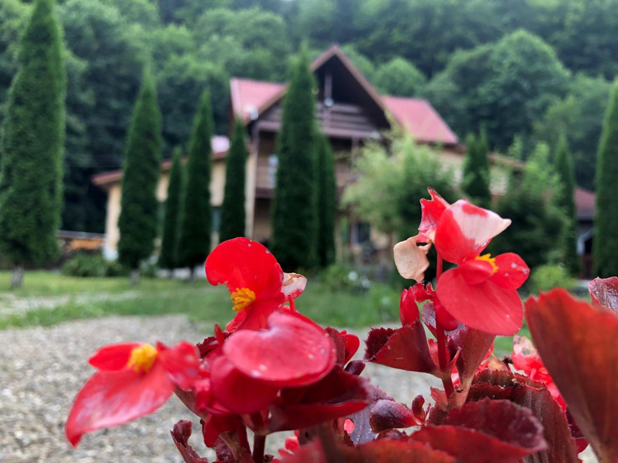 Pensiunea La Padure Cheia, Prahova Măneciu Exterior photo