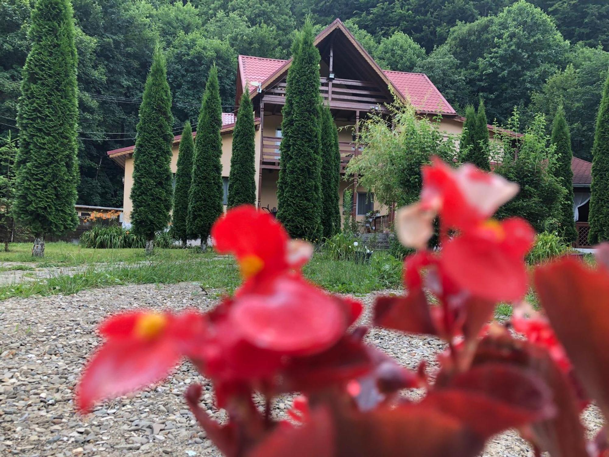 Pensiunea La Padure Cheia, Prahova Măneciu Exterior photo